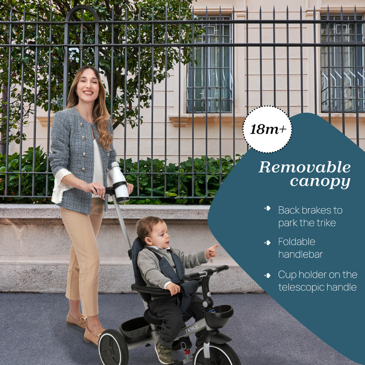 Chicco Best Friend Pro Stroller Black RE_LUX 08079866560000