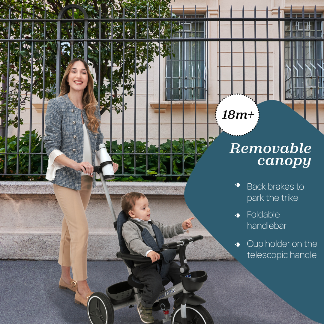 Chicco Toy Trike 4-in-1 00012136000000