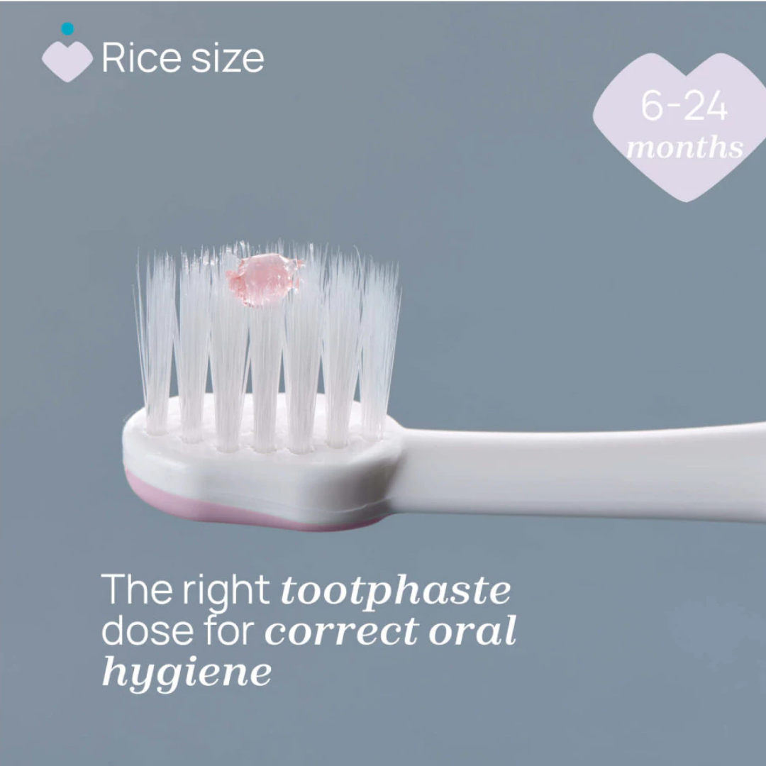 Chicco Toothbrush First Teeth 6-36m 00012081000000