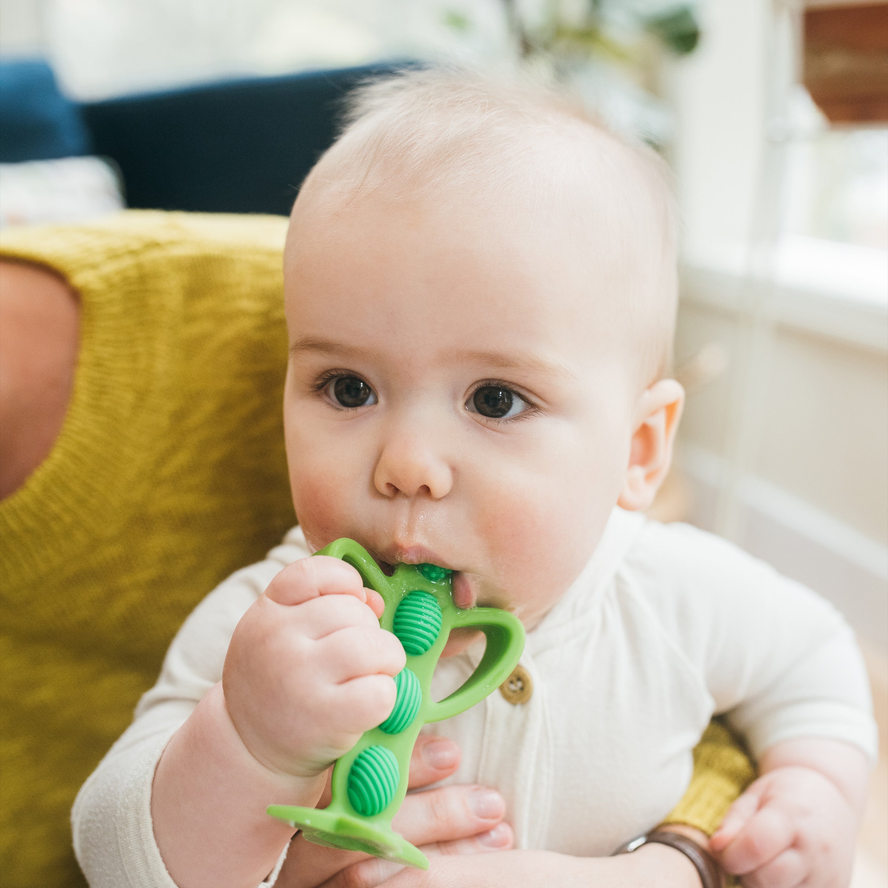 https://cdn.shopify.com/s/files/1/0659/5860/9120/files/Lifestyle_square_photo_teether_and_training_toothbrush_peapod_5.jpg?v=1684921773