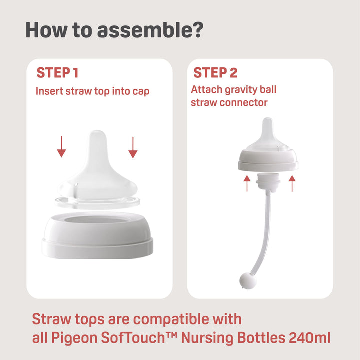 https://cdn.shopify.com/s/files/1/0681/8611/2158/files/ecoms-SofTouch_E2_84_A2-BPP-2-Step-Straw-Bottle-Set_FA_Unpath_How-to-assemble-scaled_50e94ad4-2b03-44d7-a039-20d6af55e4b3.jpg?v=1751884288