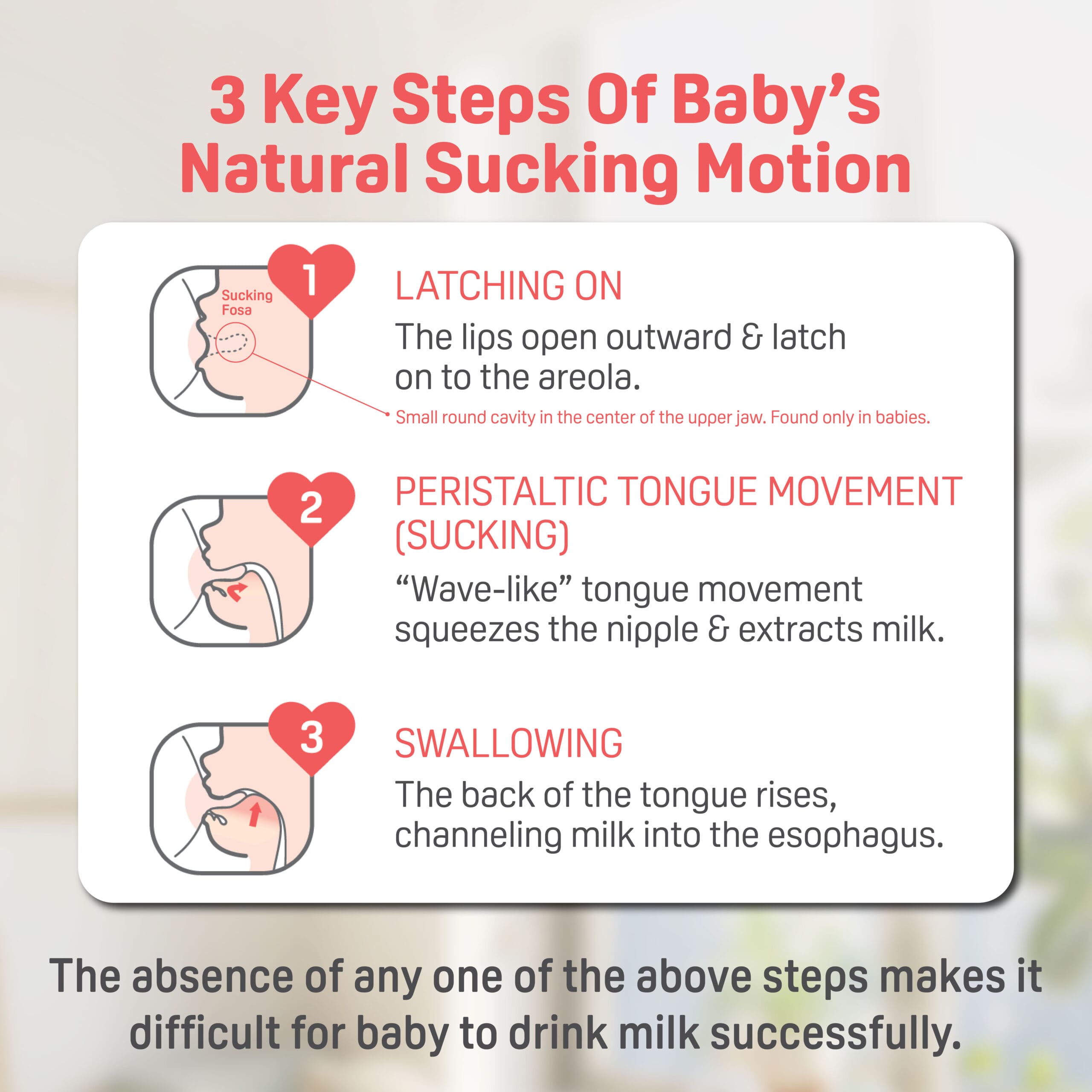 https://cdn.shopify.com/s/files/1/0681/8611/2158/files/ecomsSofTouch_E2_84_A2-Nursing-Bottle_FA_04-scaled_2d4b3f3f-3d08-44df-828a-db0c66572e3d.jpg?v=1747987557