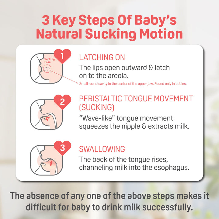 https://cdn.shopify.com/s/files/1/0681/8611/2158/files/ecomsSofTouch_E2_84_A2-Nursing-Bottle_FA_04-scaled_2d4b3f3f-3d08-44df-828a-db0c66572e3d.jpg?v=1747987557