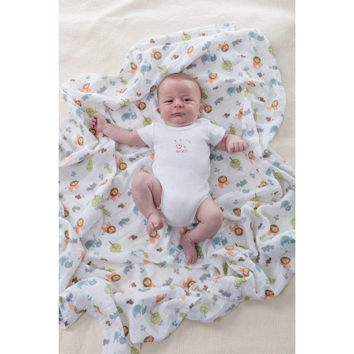 Chicco Swaddles Set 2pcs Light Grey Animals | Little Baby.