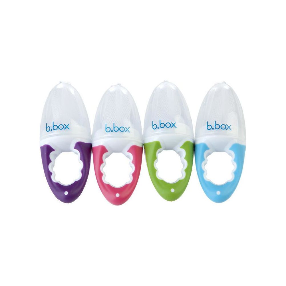 B.Box Fresh Food Feeder (Raspberry) | Little Baby.