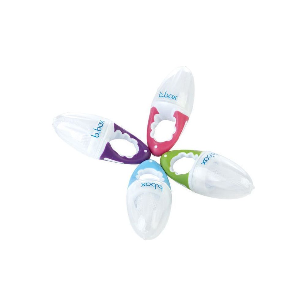 B.Box Fresh Food Feeder (Raspberry) | Little Baby.