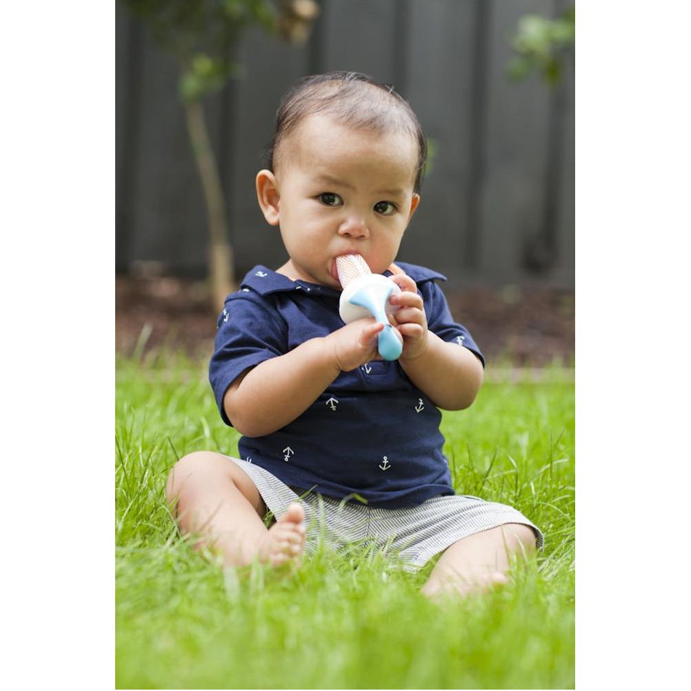 B.Box Fresh Food Feeder (Raspberry) | Little Baby.