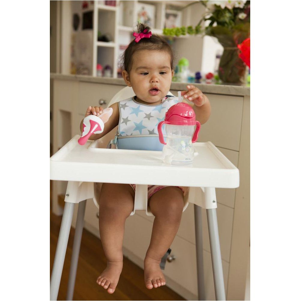 B.Box Fresh Food Feeder (Raspberry) | Little Baby.
